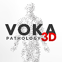 VOKA Pathology 3D