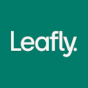 Leafly: Find Cannabis and CBD