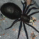 Spider Hunter Amazing City 3D